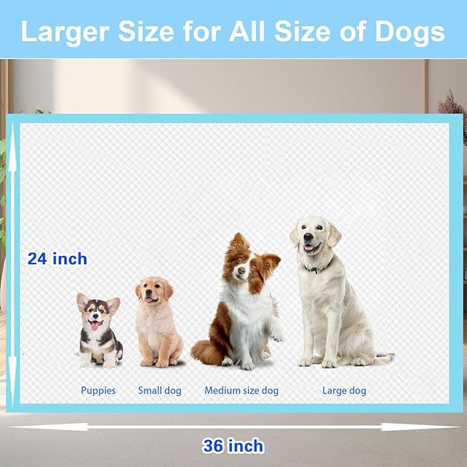 10 Count Dog Cat Puppy Pee Pads,24"x36" Super Absorbent Puppy Pads Leakproof Quick-Dry Disposable Pet Pads for Puppies, Dogs Cats Indoor, Outdoor, Housebreaking Use