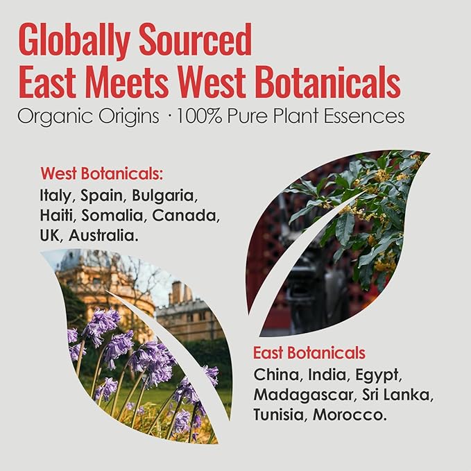 MATRUM Ease Menstrual Discomfort Blend Essential Oil Roll On, 100% Pure Arometherapy Roller for Soothe Pain and Restore Strength, Warm Calming & Relaxation, Fire and Water Duo, 1 Fl Oz