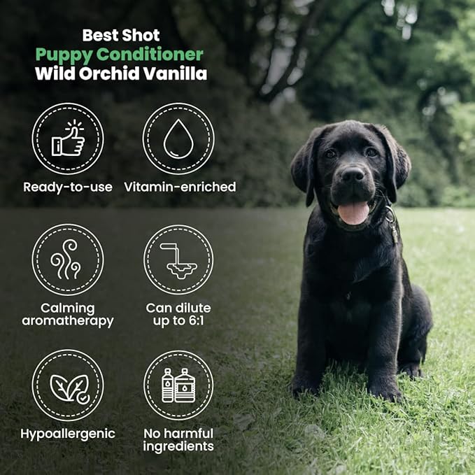 Best Shot Scentament Spa Puppy Conditioner, Ideal Skin Care Product, Pet Supplies, Hypoallergenic Puppy and Dog Conditioner, Wild Orchid and Vanilla Fragrance, 16 Oz