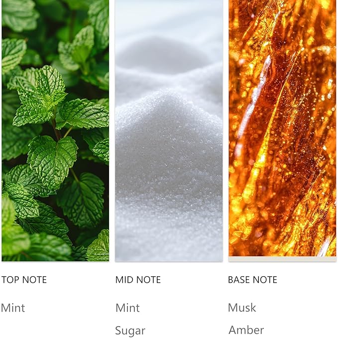 Hotel Waterless Diffuser Oil Candy Mints 20ML Sampler for Festival & Christmas, Essential Scent Oil Usage Cold Air Waterless Diffuser, Luxury Scents Oils Fragrance for Home