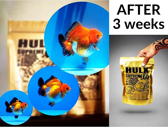 HULX Goldfish Food Sinking Pellets for Big Muscle & Mass Weight Gain, Whey Mixed High Protein 60%, Astaxanthin 7% Fish Food Growth Fast Formula 1.32 Lb.(600 Gram.) 1mm, Healthy, Color Enhancing