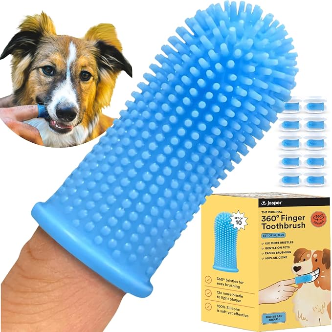 Jasper Dog Toothbrush, 360 Degree Pet Tooth Brushing Kit, Cat Toothbrush, Canine Dental Care & Teeth Cleaning Kit, Pet Finger Tooth Brush, Use with Dog Toothpaste, 10-Pack Blue
