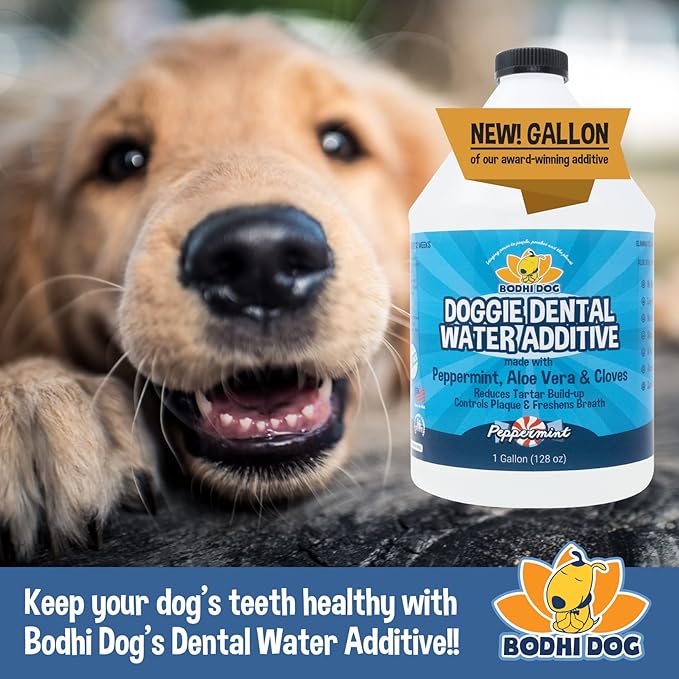 Bodhi Dog Peppermint Dental Water Additive for Dogs & Puppies - Freshens Breath, Reduces Tartar, Promotes Healthy Gums - Oral Care for Teeth & Breath - Supports Clean Mouth - Made in USA (128 Fl Oz)