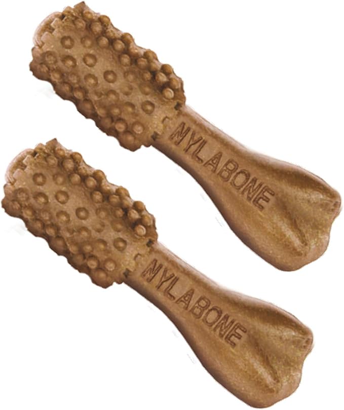 Nylabone Nutri Dent Dog Dental Chews - Natural Dog Teeth Cleaning & Breath Freshener - Dental Treats for Dogs - Filet Mignon Flavor, Mini (32 Count)