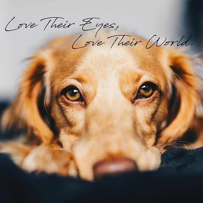 Dog Eye Drops, 2 x 50ml Gentle Eye Drops for Dogs & Cats with Honeysuckle Extract, Dog Eye Infection Treatment, All Natural Pet Tear Stain Remover for Dogs Eye Wash, Soothe Discomfort & Irritation