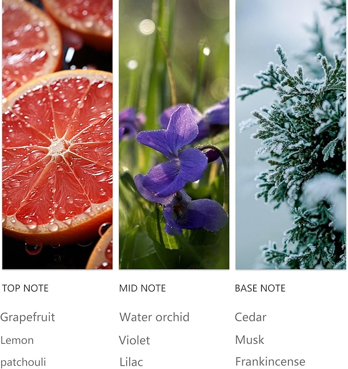 Hotel Waterless Diffuser Oil Clove Cedar 20ML Sampler, Essential Scent Oil Usage Cold Air Waterless Diffuser, Luxury Scents Oils Fragrance for Home