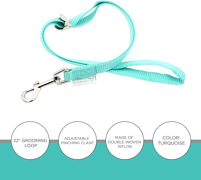 22" Grooming Loops in Turquoise - Secure and Stylish Restraints for Pet Grooming - Set of Essential Tools for Professional and Home Grooming