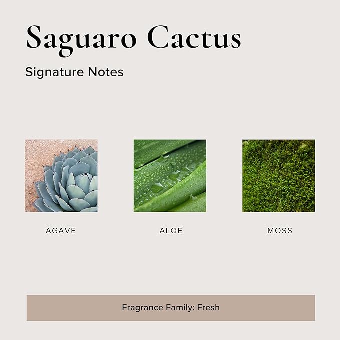 BROKEN TOP Organic Linen & Room Spray (Saguaro Cactus)