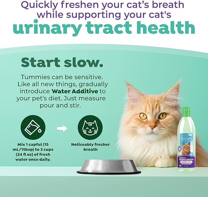 TropiClean Fresh Breath Cat Dental Water Additive + Urinary Tract Support, with Cranberry Extract, Teeth Cleaning & Breath Freshener Solution, 16oz