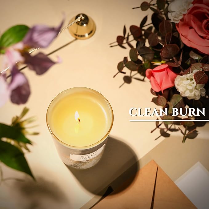 HomeLights Large jar Candle | 1-Wick Long-Lasting Scented Candles, 6.7oz Natural Soy Wax Candle for Home Scented, Industrial Chic Gifts for Women & Men, Smoke Vanilla