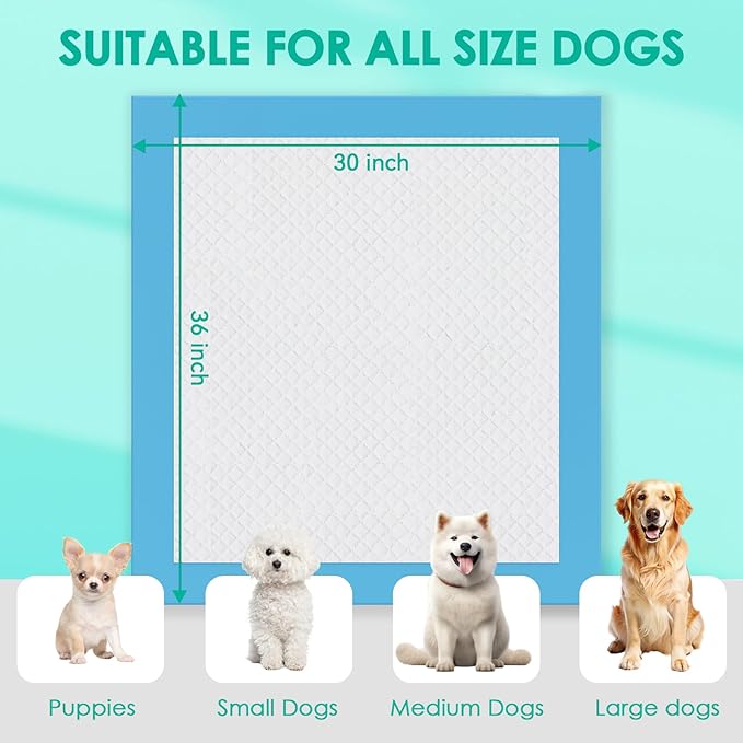 JollyMate Dog Pee Pads Extra Large 30"x36", 100 Pack X-Large Super Absorbent Pet Training Pads with Adhesive Tabs, 6 Layers Thick Leak-Proof Potty Pads for Dogs and Puppies