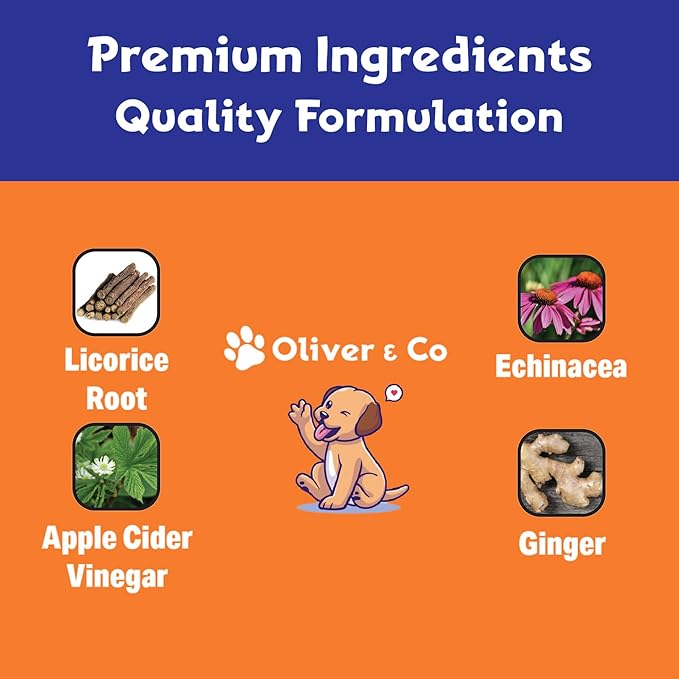 Natural Dog Ear Cleaner and Infection Treatment for Dogs - Dog Drops for Itching, Irritation, & Redness - Ear Infection Treatment for Dogs - 1 fl oz - Bacon Flavor