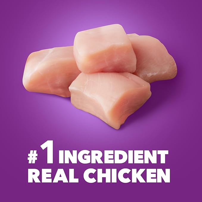 IAMS Advanced Health Skin & Coat Adult Dry Dog Food Chicken and Salmon Recipe, 27 lb. Bag