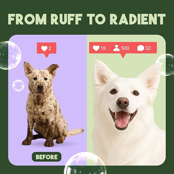 TropiClean Whitening Dog Shampoo, Professional Dog Shampoo, Whitening & Brightening, For All Coat & Color Types, Puppy Safe, Made in USA, 1 Gallon