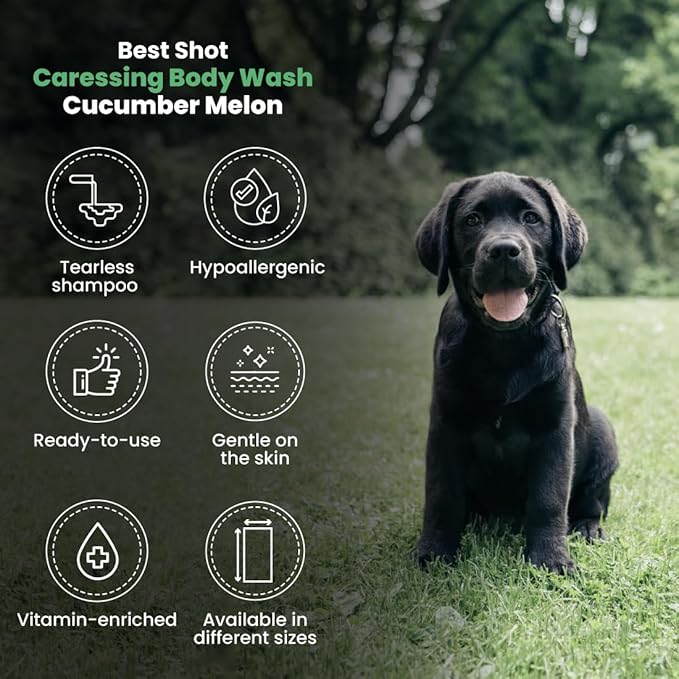 Best Shot Scentament Spa Caressing Body Wash, Cucumber Melon, 1 Gallon