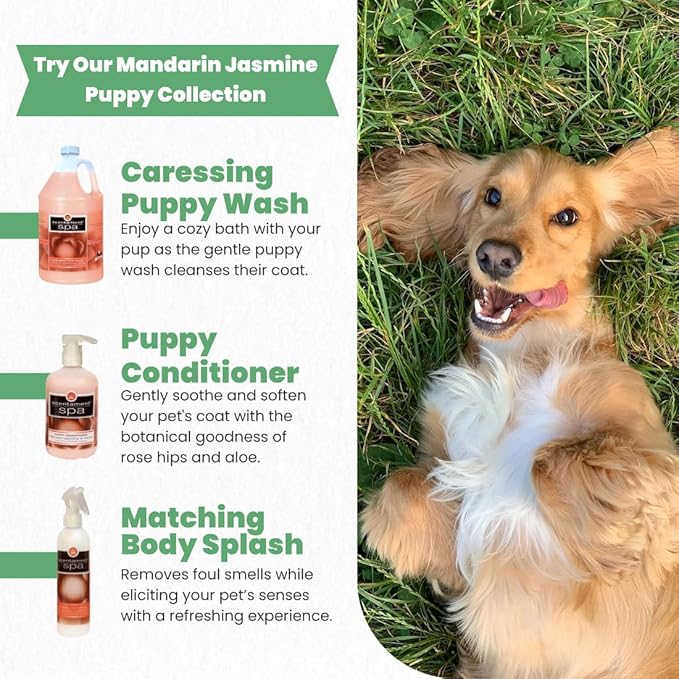 Best Shot Scentament Spa Caressing Puppy Wash, Mandarin Jasmine Honey, 1 Gallon