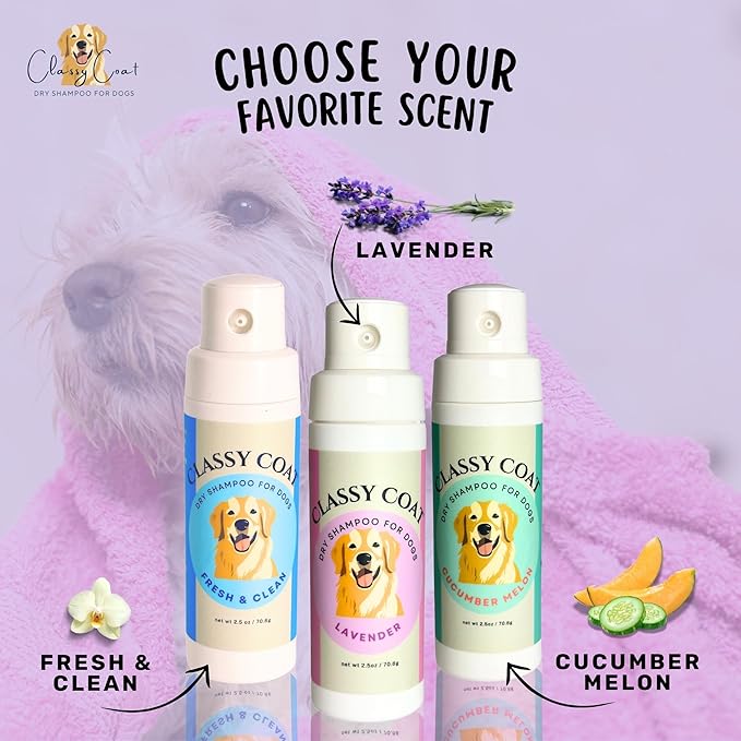 Dry Shampoo & Coat Deodorizer for Dogs (Lavender) | Waterless No-Rinse Squeeze Bottle Powder Formula | Calming Lavender Scent | Talc and Alcohol Free | Safe for Sensitive Skin | Made in USA
