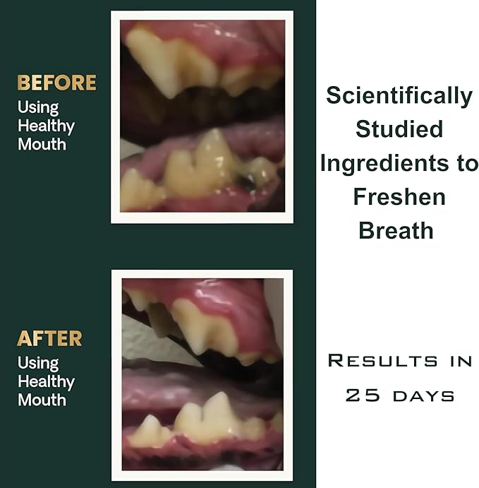 Dog Teeth Cleaning Powder, Dog Dental Powder and Cats Breath Freshener, Plaque Off Pet Tooth Cleaning lab co, Bad Breath & Tartar Remover for Dogs, Dog Teeth Cleaning with Enzymes 120 Day Supply, 120g