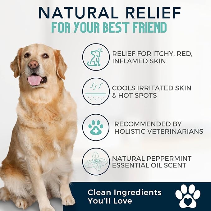 4Legger Organic Dog Shampoo, Cooling Peppermint Tea Tree Dog Shampoo for Skin Conditions and Hot Spot - 16 oz