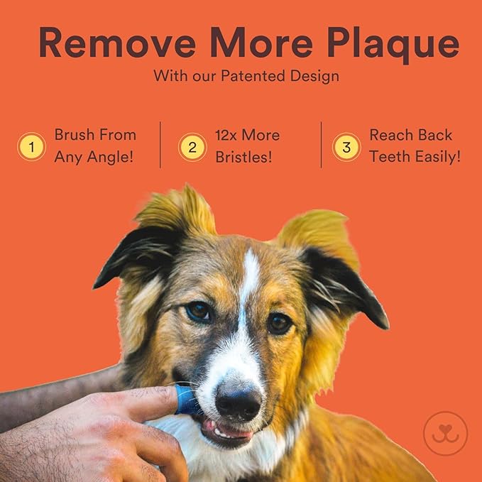 Jasper Large Dog Toothbrush, 360 Degree Pet Tooth Brushing Kit, Cat Toothbrush, Canine Dental Care & Teeth Cleaning Kit, Pet Finger Tooth Brush, Use with Dog Toothpaste, 2-Pack Navy-Blue Large