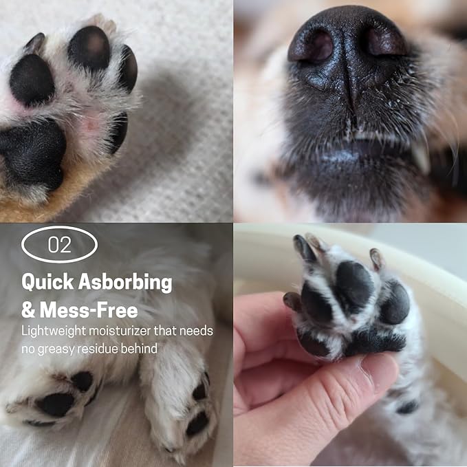 Hypoallergenic Dog Shampoo and Conditioner in 1, Cat Shampoo, Moisturizing, Tear-Free for Sensitive Skin, Puppies, with Pet-Friendly Fragrance, Includes Silicone Bath Brush (Shampoo & Moisturizer)