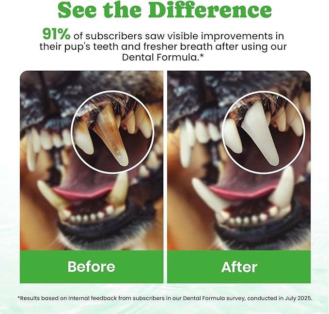 Dog Breath Freshener – Enzymatic Dog Dental Water Additive for Teeth Claning – Freshens Breath & Reduces Tartar – Easy Mouthwash Cleaner for Teeth & Gums – No Brushing Needed, Uncented, 16oz