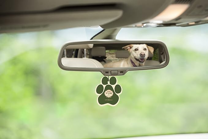 One Fur All Pet House Air Freshener - Cucumber Mint Pack of 4 - Non-toxic, Pet-Friendly Air Freshener for Small Spaces & Cars - Hanging Odor Eliminator