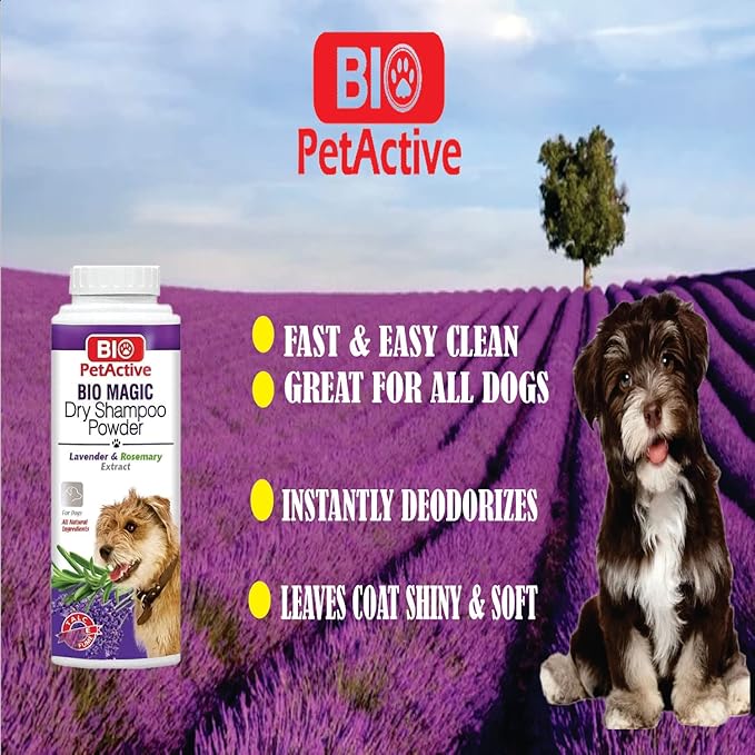 Bio Magic Dry Shampoo Powder with Lavender and Rosemary for Dogs | Cleansing and Moisturizing Perfume and Talc Free Suitable for Sensitive Skin - 5.29 oz