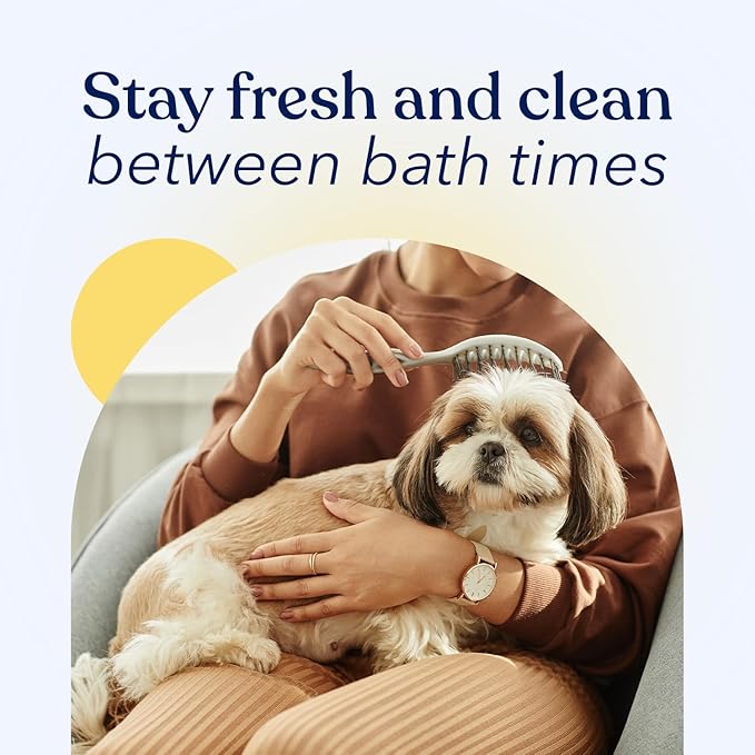 Honest Paws Dog Dry Shampoo - Waterless No Rinse Spray Formula Reducing Itch Cleanse Hydrate Nourish Dry Skin and Smelly Coat Help Decrease Odor Shedding and Allergies - Oatmeal & Lavender - 16 oz