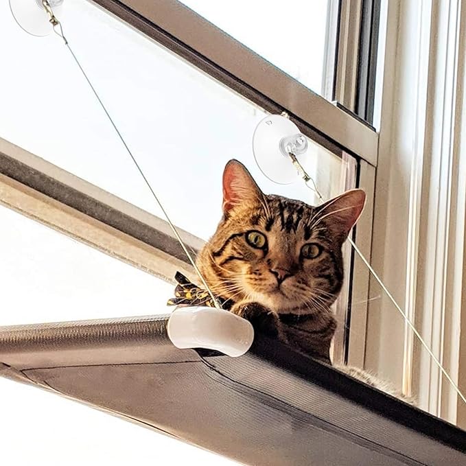 4 PCS Window Perch Suction Cup Large Replacement Clear PVC Sucker Pads Powerful Suction Cups for Cat Window Bed Seat Hammocks