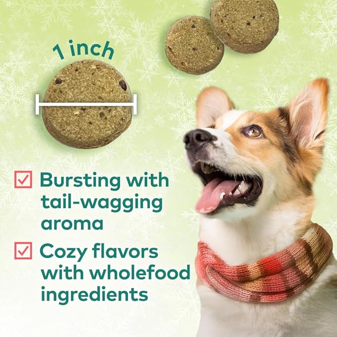 Honest to Goodness Plant Snacks Limited Edition Holiday Apple Spice Recipe Dog Treats, 4oz