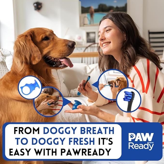 Paw Ready From Doggy Breath to Doggy Fresh Dog Dental Care Enzymatic Toothpaste for Dogs | Cleans Teeth and Freshens Breath | Safe for Puppies, Clinical Care, Bacon Cheese Flavor - 1 Pack 70g (2.5 oz)
