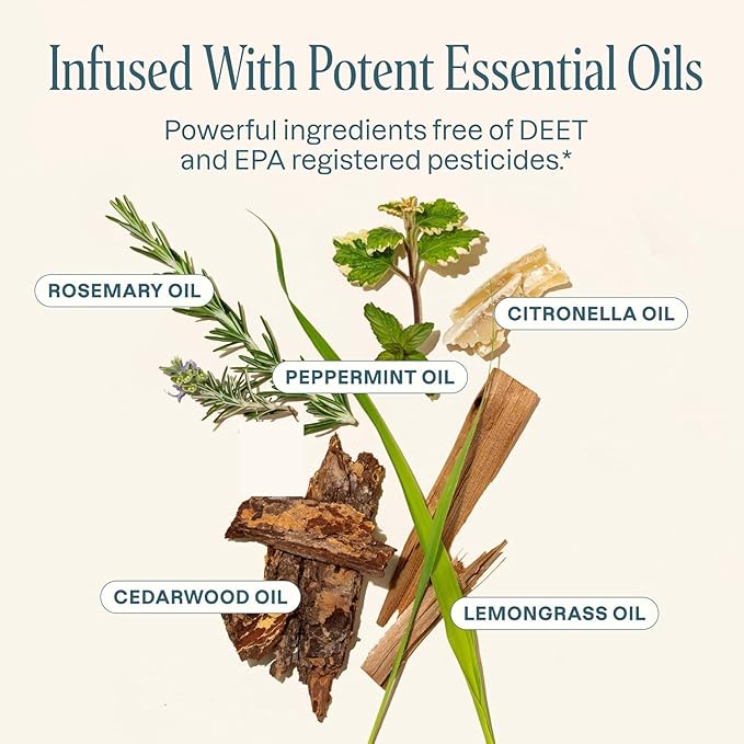 Cliganic Natural Mosquito Repellent Candle (Large 22oz, Pack of 2) | Citronella, DEET Free, Essential Oil Infused for Outdoor, Camping | Burns 40 Hours