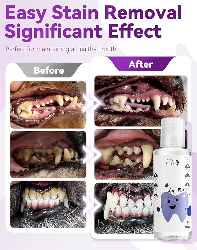 Dental Water Additive, Specialized Dental Care Formula，Natural Flavorless Teeth Cleaning Mouthwash, Freshens Dog Breath & Promotes Healthy Gums, Easy Daily Use for All Pet (200ML)
