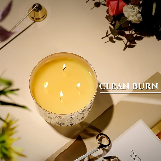 HomeLights Large jar Candle | 4-Wick Long-Lasting Scented Candles, 18oz Natural Soy Wax Candle for Home Scented, Bohemian Natural Textures Gifts for Women & Men, Lavender Vanilla