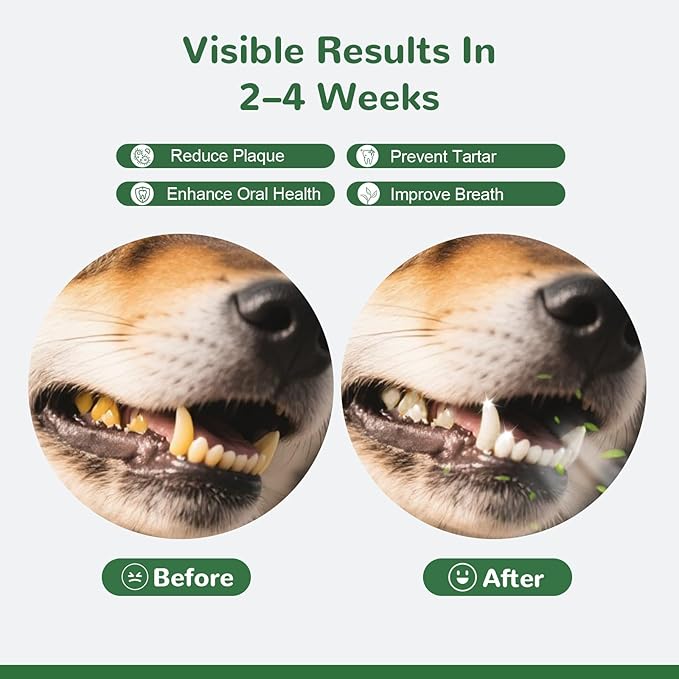 Dog Teeth Cleaning Powder, Dental Powder for Dogs Teeth & Tartar Remove & Plaque Off, Breath Freshener for Dogs with Natural Plants Blend and Probiotics, 45g Portable Size