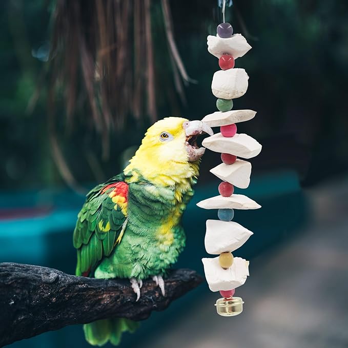 2 Pack Bird Toys with Cuttlebone, Parakeet Toys, Bird Beak Grinding Stone, Cage Accessories for Parakeets, Cuttlefish Bone for Budgies, Cockatiels, Lovebirds, Green Cheeks, Small to Medium Birds