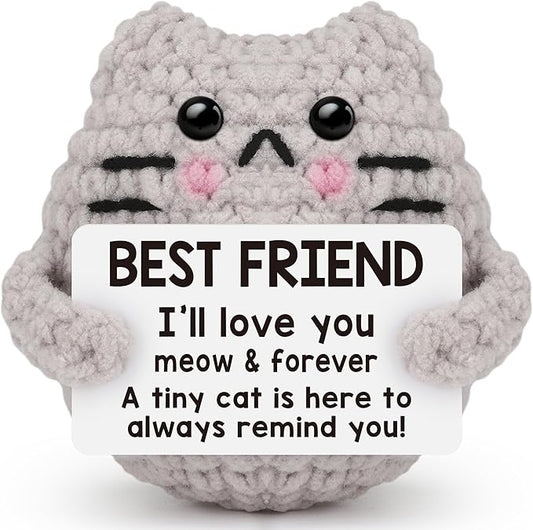 Best Friend Friendship Gifts for Women Men, Birthday Gifts for Friends Female Male Girls,Back to School Friend Desk Home Fall Decor Christmas Stocking Stuffers