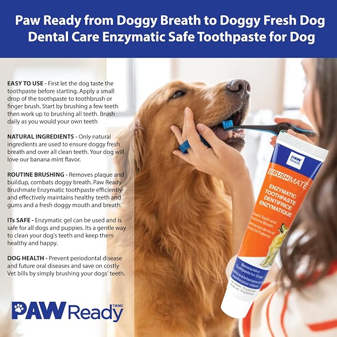 Paw Ready From Doggy Breath to Doggy Fresh Dog Dental Care Enzymatic Toothpaste for Dogs | Cleans Teeth and Freshens Breath | Safe for Puppies, Clinical Care, Bacon Cheese Flavor - 1 Pack 70g (2.5 oz)