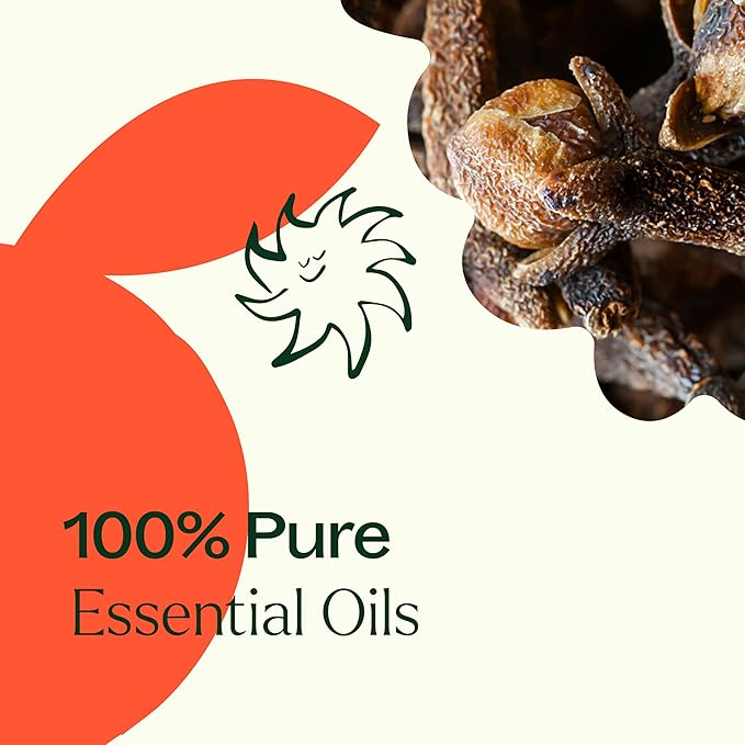 Plant Therapy Spiced Orange Holiday Essential Oil Blend 10 mL (1/3 oz) Bright Citrus Blended with Warming Spices, Inviting & Cheerful Aroma, Creates a Cozy Holiday Atmosphere