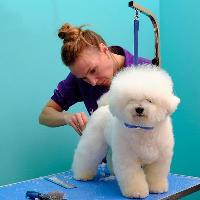 18 Pcs Pet Dog Grooming Loops Nylon Restraint Noose Adjustable Straps Fixed Dog Cat Safety Rope Supplies for Pet Grooming Table Bathtub, Blue, Black and Pink, 21 Inch