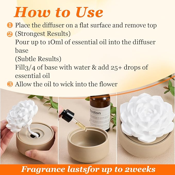 Honeydak 1 Pcs Flower Passive Essential Oil Diffuser Stone White Ceramic Porcelain Floral Diffuser with Container Non Electric Handmade Decorative Tabletops Home Decoration Christmas (Succulent)