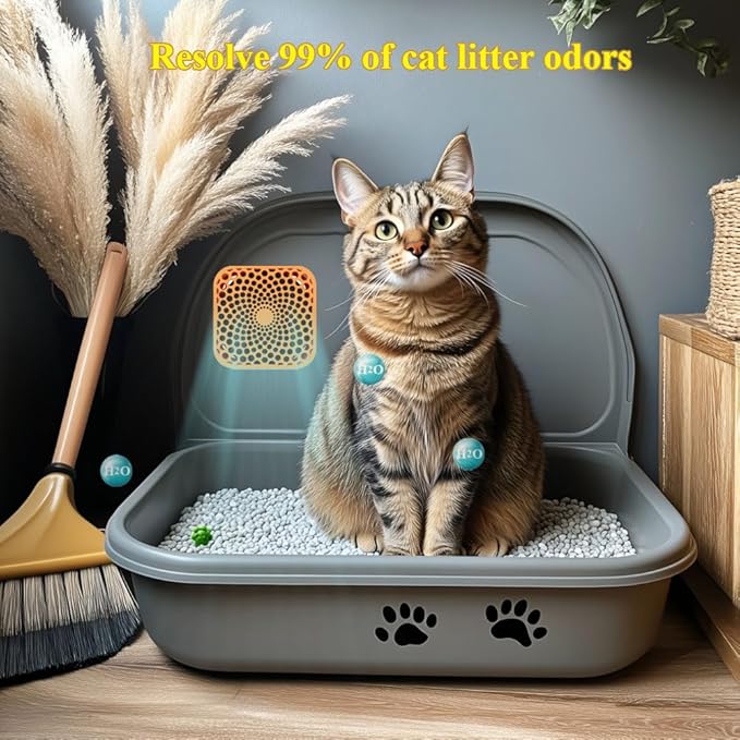 Cat Litter Deodorizer, Deodorizer Odor Eliminator 99% Lasts for 10 Years, Air Freshener Travel Size Odor Smell Remover for Cat litter Box, Dog Bed, Refrigerator, Car, Closet, Etc (2-Pack)