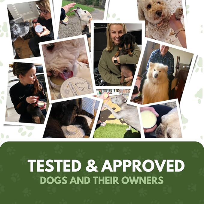 Rhoose Point Remedies Dog Paw Balm - Softens, Heals, Soothes & Protects Dogs Paws, Noses & Skin. All Natural, Organic Ingredients. Lick-Safe Protection for Dogs with Beeswax (2 fl.oz - Standard Tin)