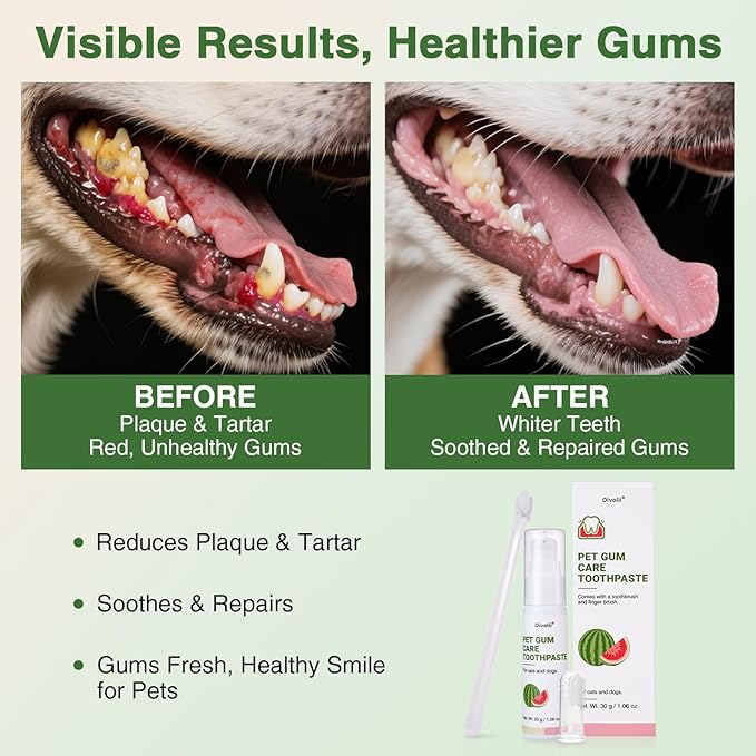 Dog Toothpaste Kit for Gum Care – Watermelon Flavor Dental Toothpaste with Finger Brush & Long-Handle Toothbrush – Reduces Plaque, Soothes Gums, Freshens Breath – Safe for Daily Use