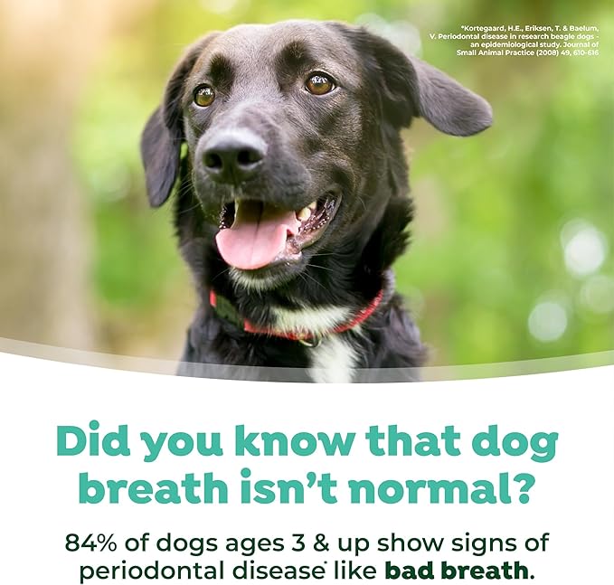 TropiClean Fresh Breath Water Additive for Dogs | Dog Breath Freshener & Teeth Cleaning Solution | No Toothpaste or Toothbrush Required | 16 oz + Pump