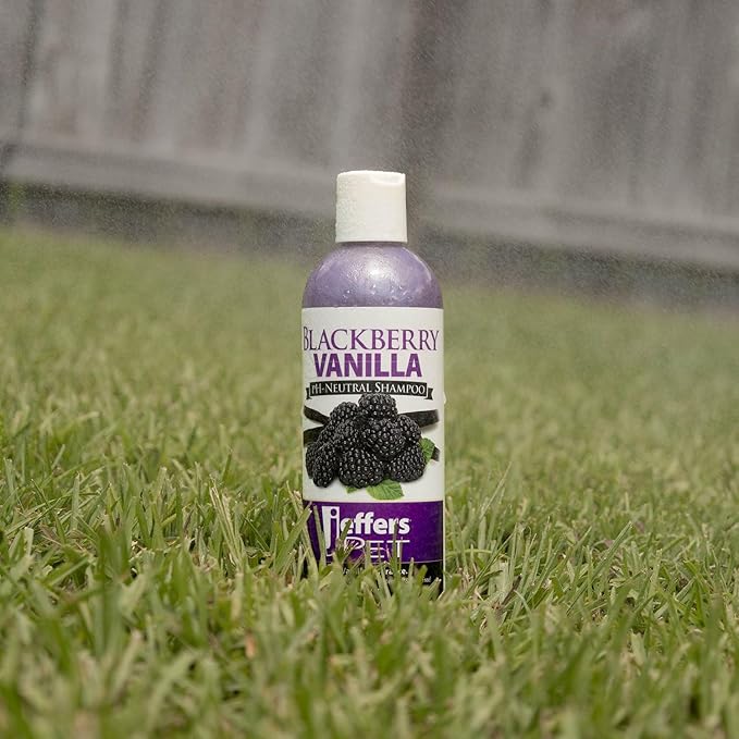 Jeffers Pet BlackBerry Vanilla Shampoo 17 oz - Gentle Tearless Formula for Sensitive Skin, Aloe Vera & Coconut Oils, Safe for Dogs, Cat & Rabbit, PH Neutral, Detergent Free, Healthy Coat Care