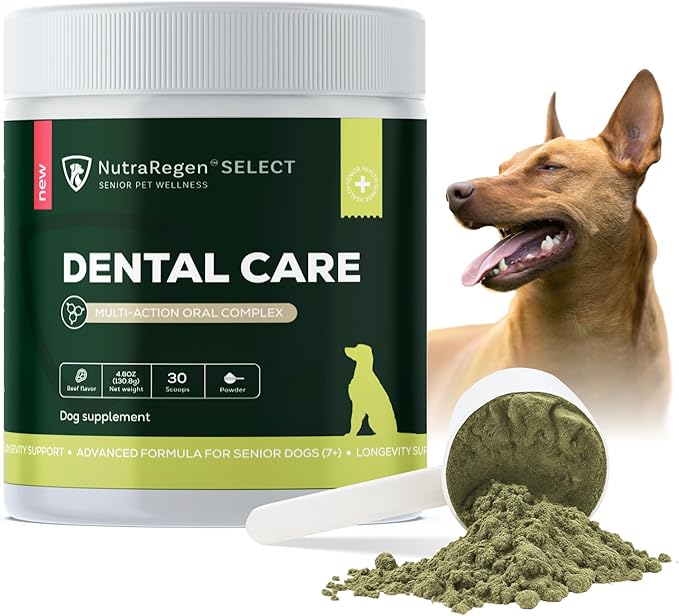 Select Senior Dog Dental Powder 30 Servings | Beef Flavored Dog Breath Freshener for Oral & Gum Health | Pet Dental Powder Helps Manage Plaque & Tartar Buildup and Chewing Issues | 4.6 Oz