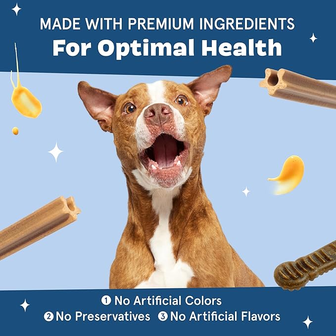 Barkbox Bright Durable Dental Kit, 15 Chew Sticks & Toothpaste - Medium Breeds (Berry Mint Flavored)