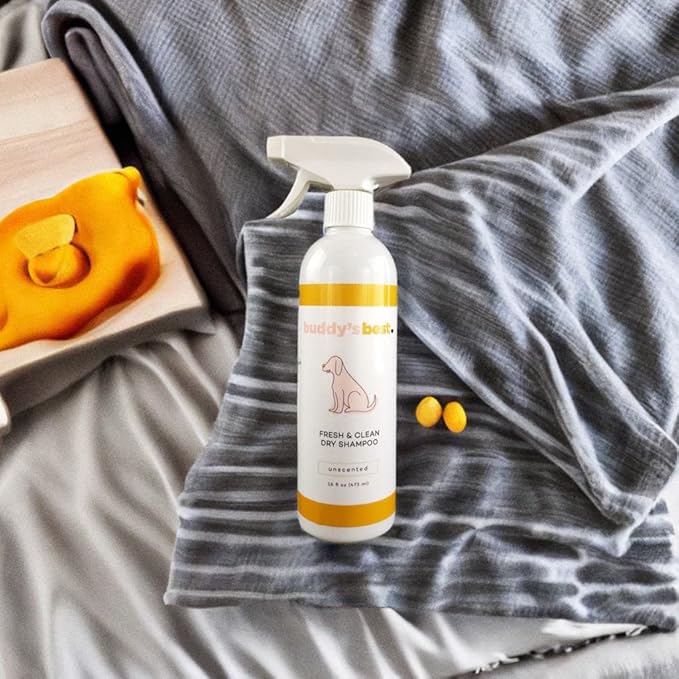 Buddy's Best Fresh & Clean Dry Shampoo for Dogs, 16 fl oz Bottle Waterless Dog Shampoo for Dog and Puppy Grooming (Unscented)